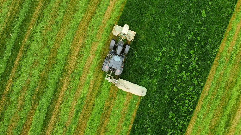 BDMG amplia crédito para empresas e agronegócio e fortalece perspectivas da economia de Minas Gerais
