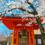 Alberto Toshio Murakami