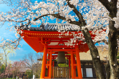 Alberto Toshio Murakami