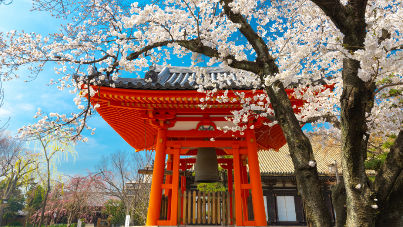 Alberto Toshio Murakami