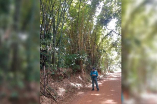 Eloiso Gomes Afonso Durães