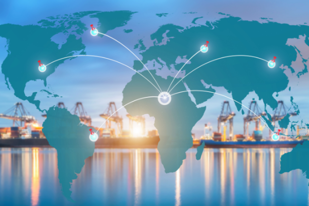 Francisco Gonçalves Perez