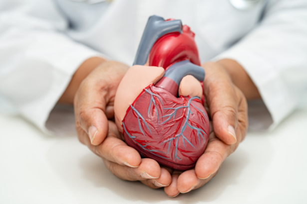 Descubra com Lawrence Aseba Tipo hábitos simples que fortalecem o coração e reduzem os riscos cardiovasculares.