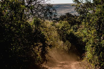 Trilha de terra cercada por vegetação em uma área de floresta em Minas Gerais